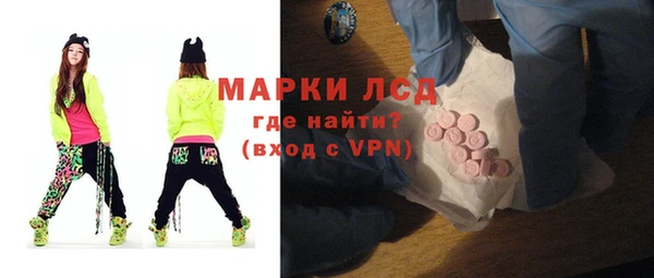 шишки Богородицк
