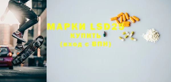 ПСИЛОЦИБИНОВЫЕ ГРИБЫ Бородино
