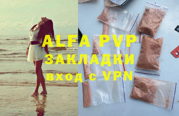 ПСИЛОЦИБИНОВЫЕ ГРИБЫ Бородино