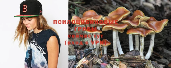 кокс Волосово
