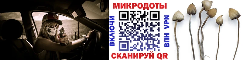 Псилоцибиновые грибы Psilocybine cubensis  Наро-Фоминск 